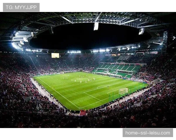 财政公平视角下的德甲：中游球队如何在有限预算下保持竞争力